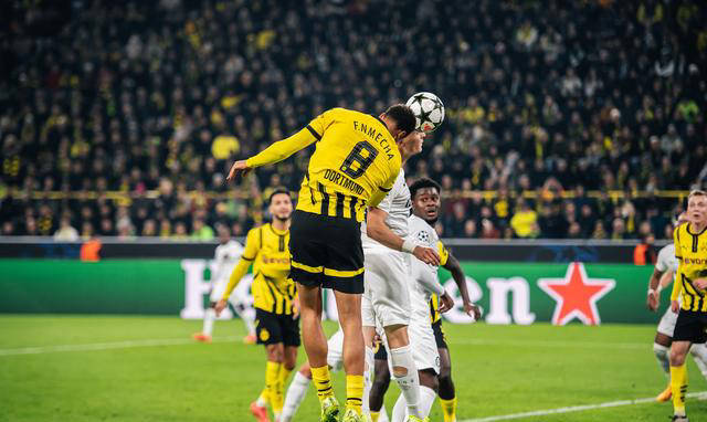 勒沃库森主场大胜，实力强劲展示的简单介绍